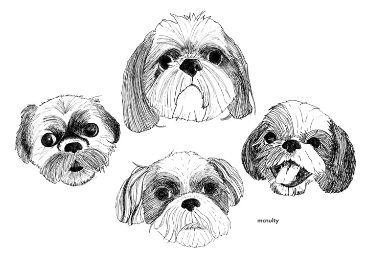 Dogs illustration.