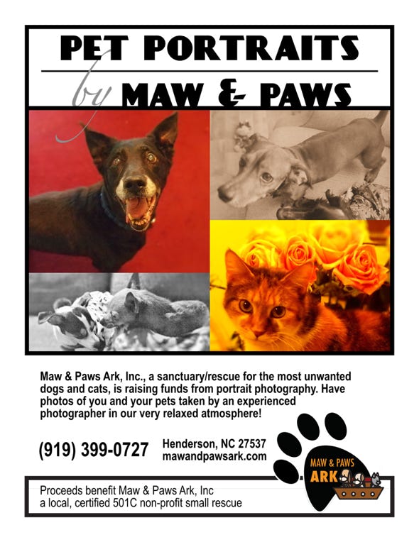 Custom non-profit flyer.